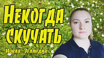 # 175 Влог - Некогда скучать / Новая Зеландия / Окленд
